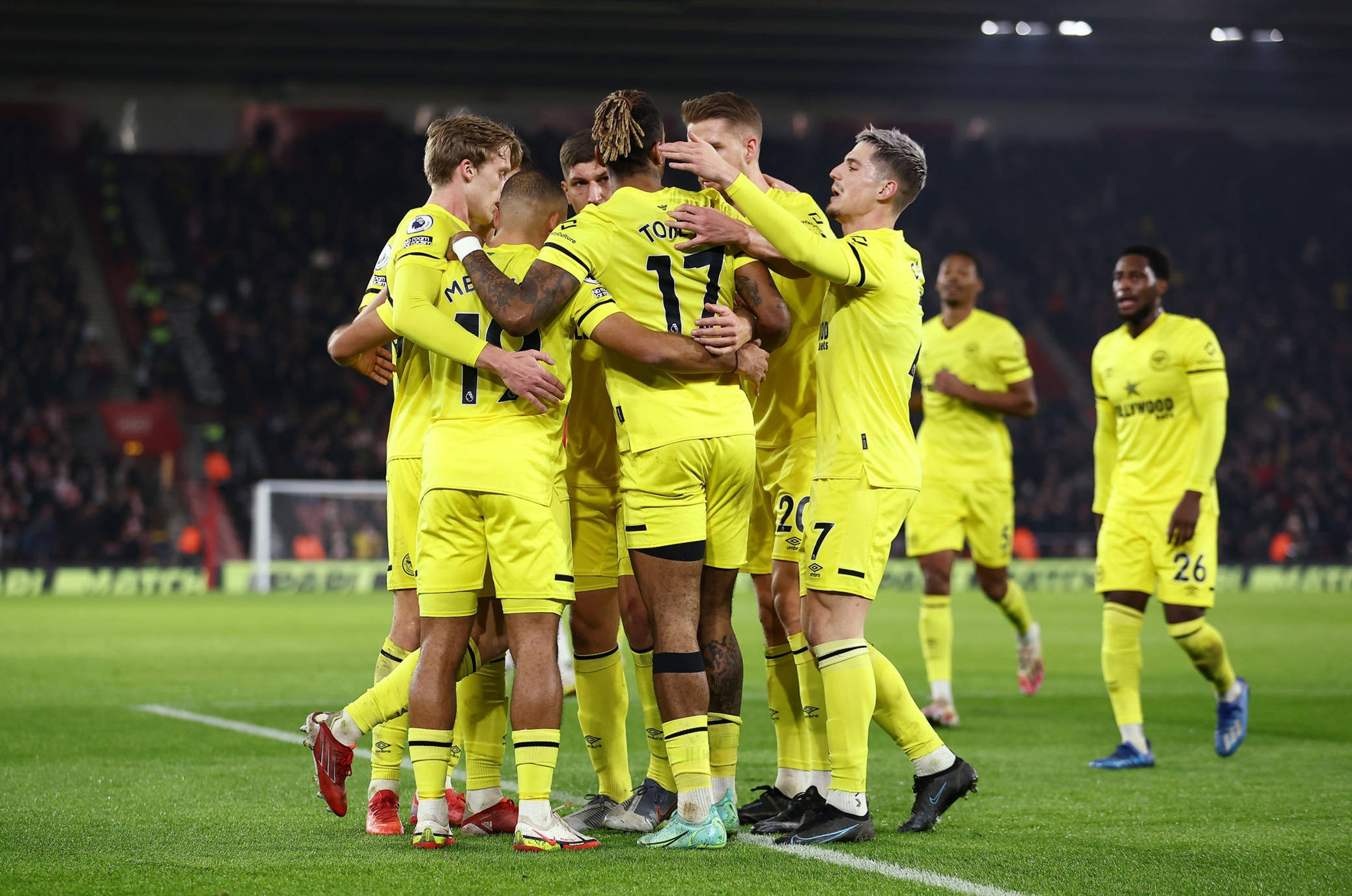 巴勒斯坦组 巴勒斯坦组